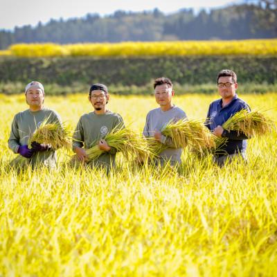 ふるさと納税 津南町 【毎月定期便】農家直送【特栽魚沼産新之助 精米 合計120kg】20kg(10kg×2袋 )全6回 |  | 03