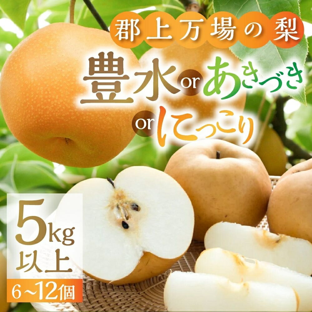 【ふるさと納税】梨 郡上大和の梨 約5kg 令和7年産 先行予約 令和8年産【9月中旬～12月上旬発送】豊水 あきづき にっこり 品種お任せ（品種指定不可）/ 食品 フルーツ 果物 旬 和梨 梨 なし ナシ 15000円