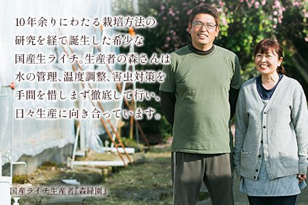 ライチゼリー 8個 フルーツゼリー ギフト 特産品 お取り寄せ 宮崎県 新富町【B453】