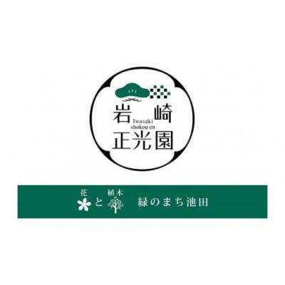 ふるさと納税 池田市 岩崎正光園 季節の野菜詰め合わせ(冬) |  | 01