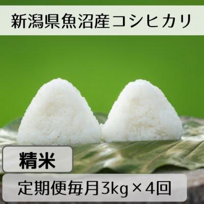 ふるさと納税 十日町市 【毎月定期便】新潟県魚沼産コシヒカリ「山清水米」精米3kg全4回