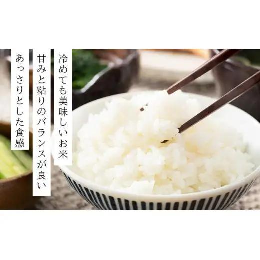 《令和 7 年産》お米 ななつぼし精米 10kg (10kg×1袋)｜米 精米 北海道 岩 見沢市 ファーム坂口の特別栽培米