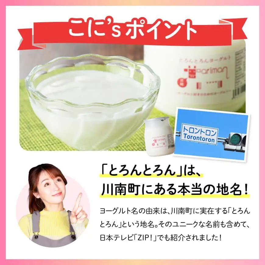 とろんとろんヨーグルト2個セット【 トロントロンヨーグルト トロントロン アリマン 乳製品 乳 加工品 牛乳 ヨーグルト 乳 】 