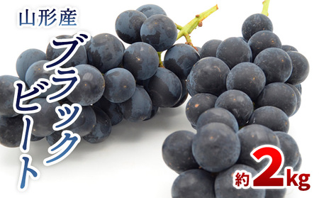 山形のぶどう ブラックビート 秀品 約2kg(3～6房)【令和8年産先行予約】FS24-653 くだもの 果物 フルーツ 山形 山形県 山形市 2026年産