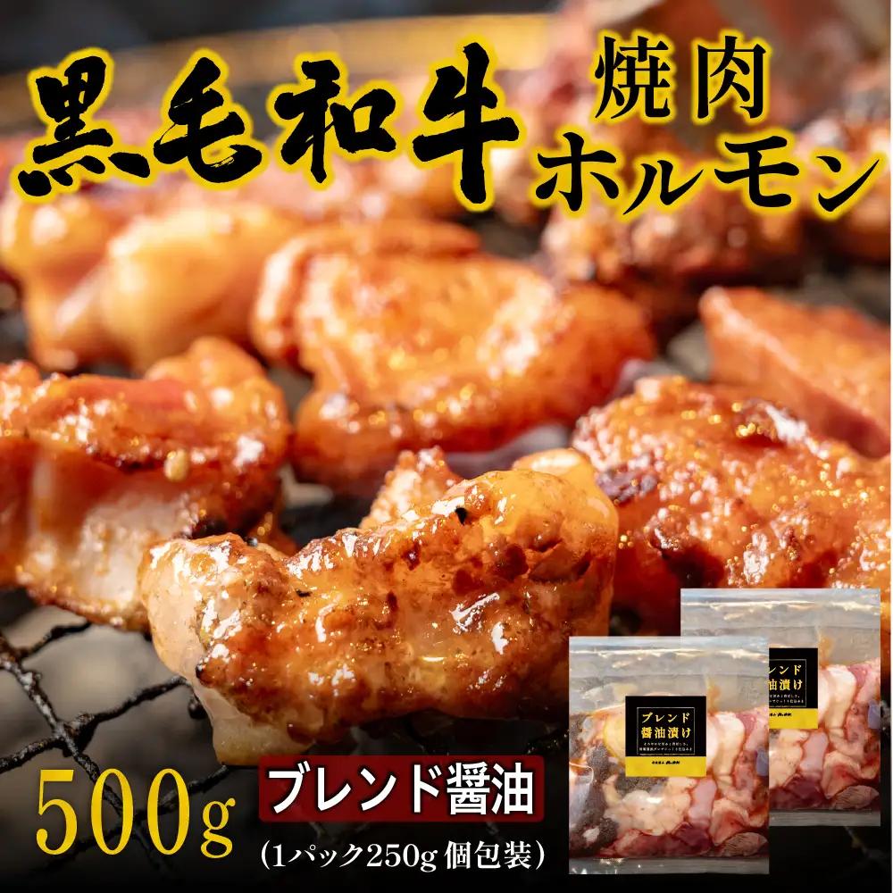 〈スピード出荷〉黒毛和牛ホルモン（しょうゆ 小分け 500g）焼肉 ホルモン MSK023