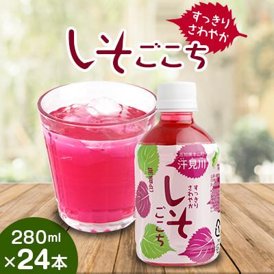 ふるさと納税 本山町 すっきりさわやかしそごこち　24本セット