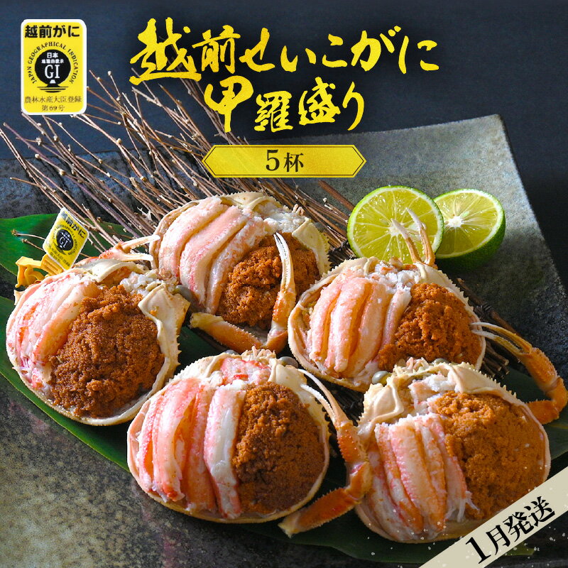 珍しい冷蔵発送！ 越前せいこ蟹 甲羅盛り「身出し」5杯 鮮度にこだわり「産地直送」！【雌 ズワイガニ】【越前がに せいこがに セイコガニ ボイル むき身 かに カニ 蟹 福井県】【1月発送分】希望日指定可 備考欄に電話番号をご記入ください