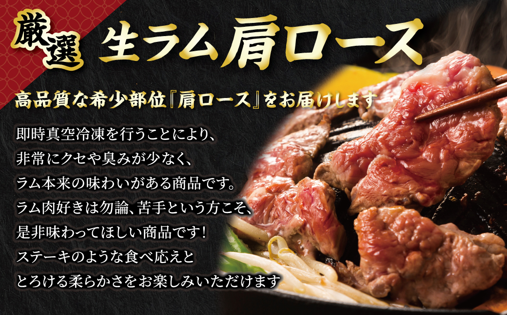 【お試し用】北海道民おすすめ定番の特別な日へ『肩ロース』350g×1　計350g 35mlタレ2袋付き BRTI031