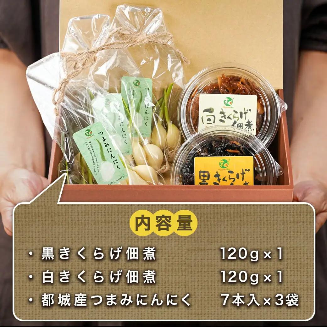 きくらげの佃煮とつまみにんにくのセット〔AA-C903〕_(都城市) 発芽にんにく 都城産 にんにく におい残りが少ない 白きくらげ 黒きくらげ 佃煮 冷蔵配送