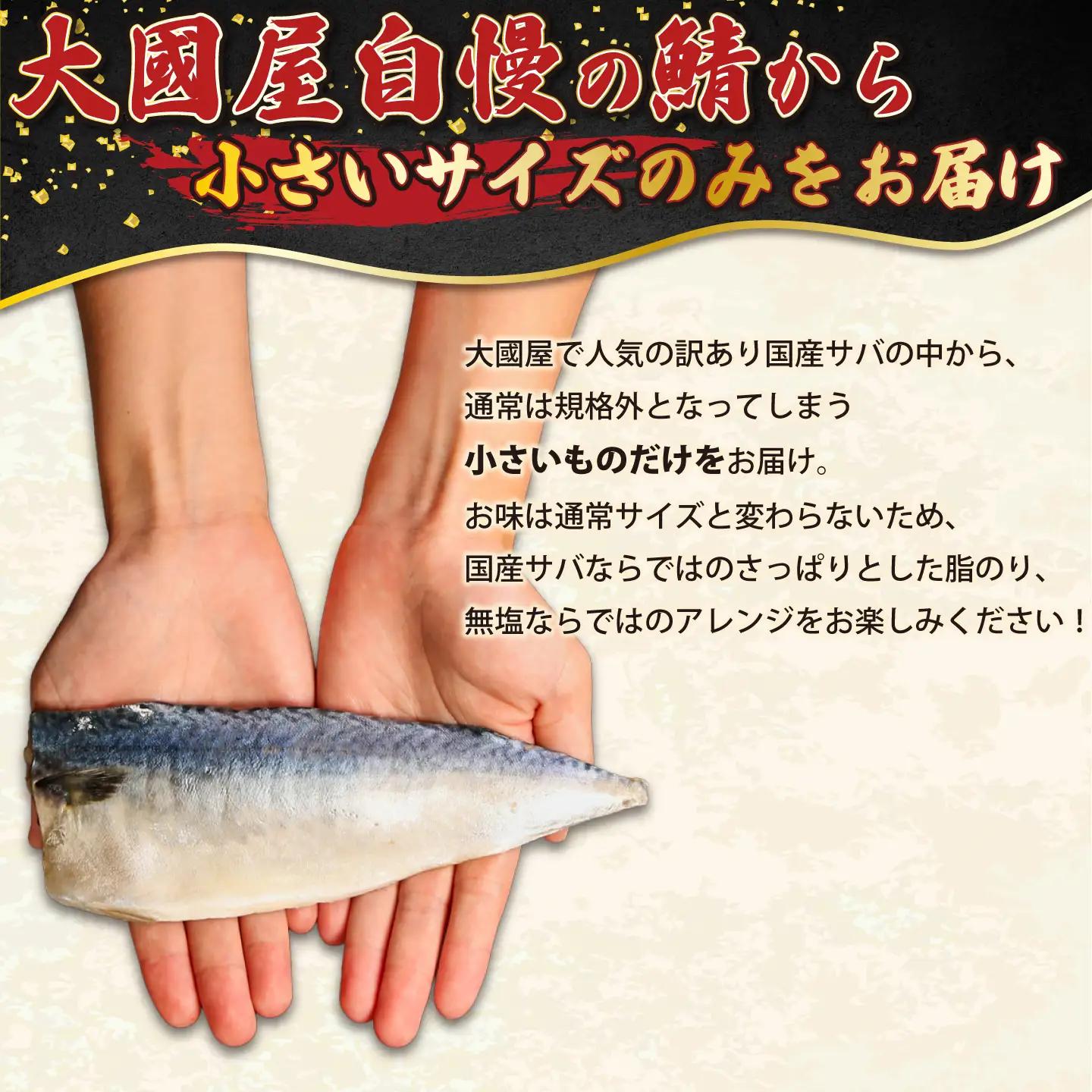 訳あり 国産 無塩さば 約2kg 小サイズ サバ