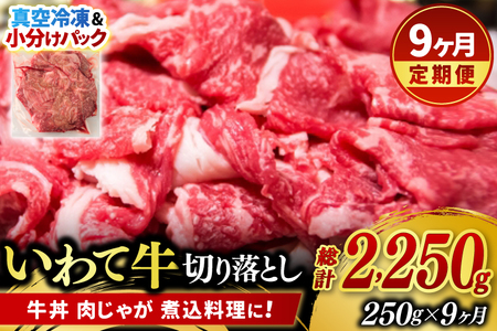 ＼9ヶ月連続 定期便／【9月より順次配送】牛肉 切り落とし 肉 小分け 真空冷凍 いわて牛 250g (総計 2,250g) 岩手県産 和牛 牛肉 黒毛 和牛 切り落とし肉 大容量 肉 すき焼き 肉じゃが 煮込み 煮物 赤身 国産牛 小分け 冷凍 使い勝手の良い牛肉 数量限定 (AB096)