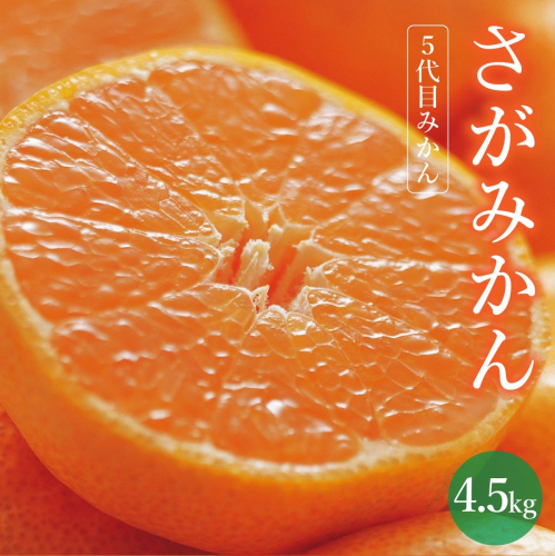 【期間限定】さがみかん （5代目みかん4.5kg）【温州みかん 甘い 濃厚 ジューシー コク 完熟 熟成みかん 蔵出し 蔵入り 柑橘 密柑 ギフト 果物 フルーツ 佐賀県産 佐賀県 大和 太良 石橋果樹園 人気】【B-1120-IK】