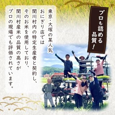 ふるさと納税 関川村 【毎月定期便】炊きたてつやつや 新潟関川村産 岩船米こしひかり精米 5kg [星山米店]全3回 |  | 02