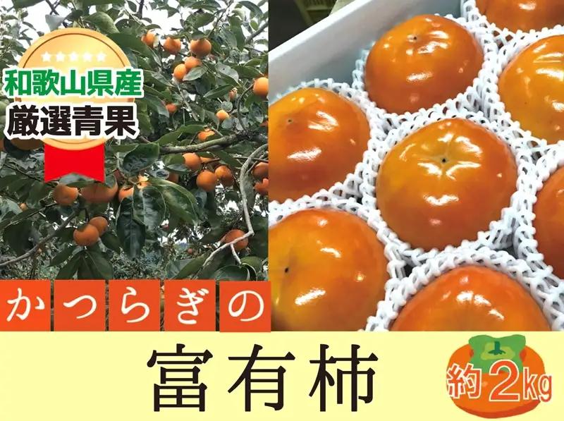 柿 富有柿【秀品】和歌山県産 約2kg 【2026年11月中旬から2026年12月上旬発送】｜柿 富有柿  フルーツ 果物  【A242-frks136A】