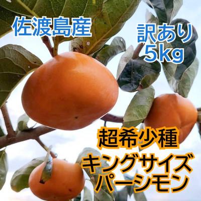 ふるさと納税 佐渡市 佐渡島の希少柿　幻のキングサイズパーシモン　訳あり品　5kg