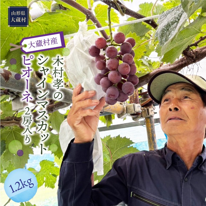 大蔵村産　シャインマスカット・ピオーネ　2房入り　約1.2kg