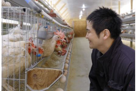 竹内養鶏場の白いたまご「米艶」と黄色いたまご「玉艶」セット【B27】