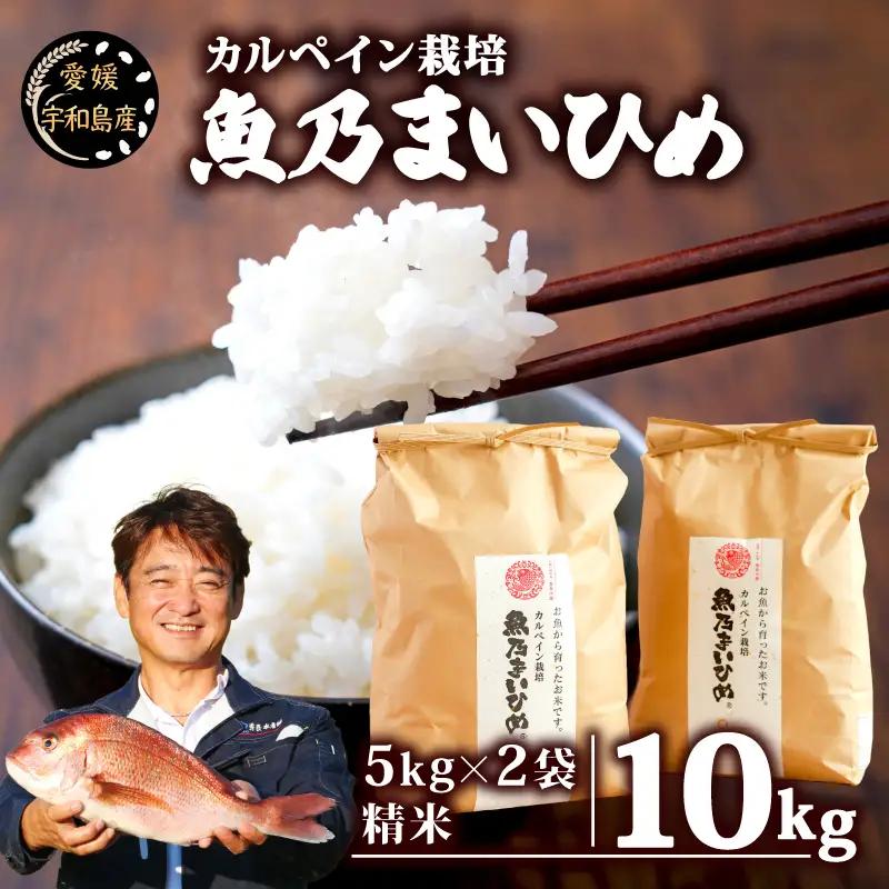 令和7年産 コシヒカリ 魚乃まいひめ カルペイン栽培 計10kg 5kg × 2袋 精米 秀長水産 精米 G032-016008