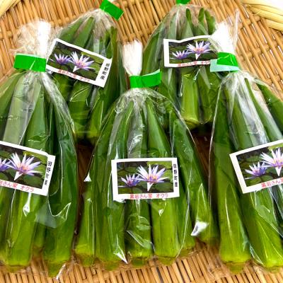 ふるさと納税 田野町 ≪先行受付≫【四国一小さなまちのオクラ】黒岩さん家のオクラ 10袋 |  | 01