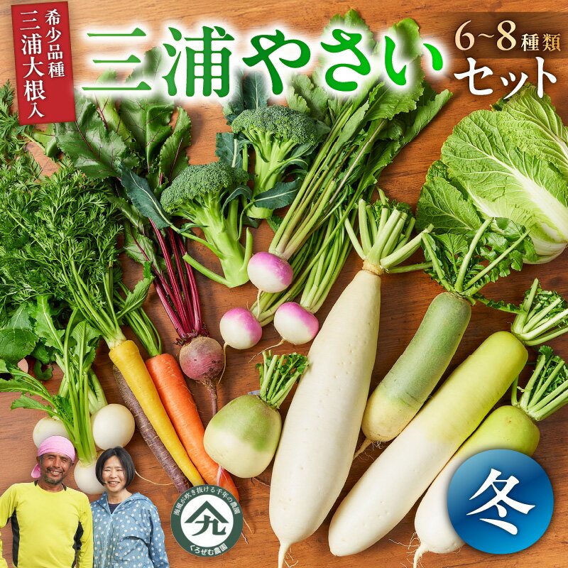 【ふるさと納税】 ボリューム満点 季節の野菜 詰め合わせ （冬） 三浦大根 大根 だいこん 野菜 冬野菜 青首 味一番 白菜 ブロッコリー 人参 カブ ケール ビーツ おいしい 期間限定 三浦野菜 旬のやさい くろぜむ農園 神奈川 三浦市 おすすめ ランキング プレゼント ギフト
