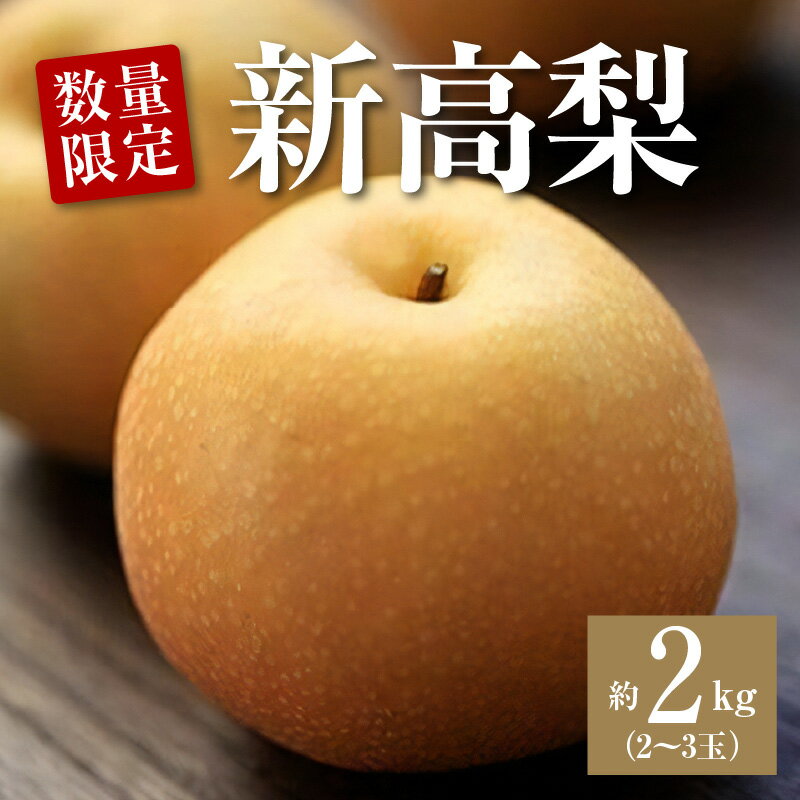 【ふるさと納税】梨 平和農園の新高梨 約2kg 大箱 2～3玉入【先行予約】【2026年発送】[ 新高梨 高級梨 大玉 フルーツ 果物 甘い ジューシー 人気 ギフト ランキング 季節限定 贈答用 内祝い お歳暮 お取り寄せグルメ 産地直送 返礼品 送料無料 三豊市 平和農園 ]