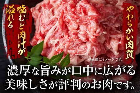 【厳選部位】博多和牛サーロインしゃぶしゃぶすき焼き用 500g 黒毛和牛 お取り寄せグルメ お取り寄せ 福岡 お土産 九州 福岡土産 取り寄せ グルメ 福岡県