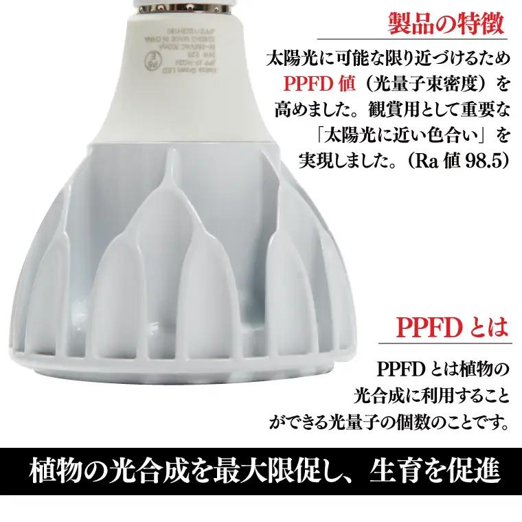 BN023-1　電球タイプの定番モデル10個セット。あらゆる植物・野菜・果樹にオールマイティーに使用できます。「ヘリオスグリーンLED (ホワイト)」