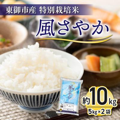 ふるさと納税 東御市 【R7年産新米】東御市産の特別栽培米「風さやか」約10kg