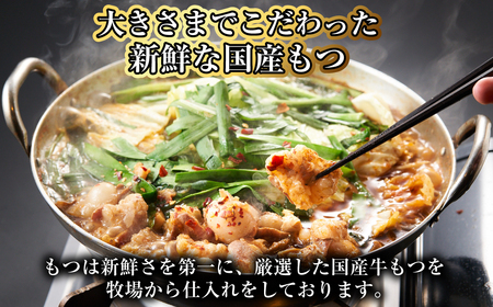 【20営業日以内発送】【もつ鍋+炎のもつ鍋】国産牛 長崎 もつ鍋 セット (醤油味+辛みそ付醤油味) 細麺付 各2～3人前×2セット ／ もつ鍋居酒屋ばか正直 もつ鍋 モツ鍋 鍋 もつ モツ 和牛モツ