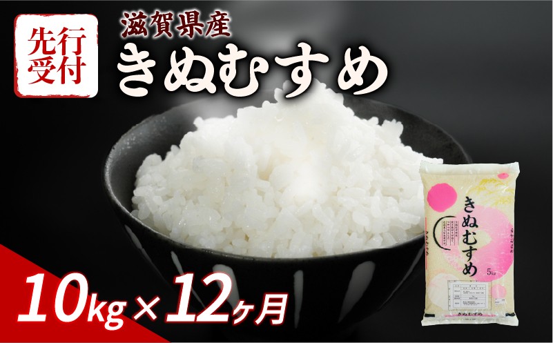 
                  【令和8年産】 先行予約 新米 きぬむすめ 10kg ( 5kg ×2) 12回定期便 令和8年産 定期便 米 精米 こめ コメ お米 ご飯 米 キヌムスメ 米定期便 12か月定期便 12ヶ月定期便 12回 12ヶ月 12か月 1年 1年定期便 滋賀 彦根
                
