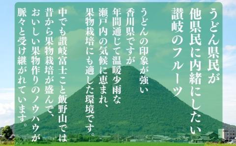 地元民が内緒にしたい！丸亀のシャインマスカット約２kg（JA香川県）