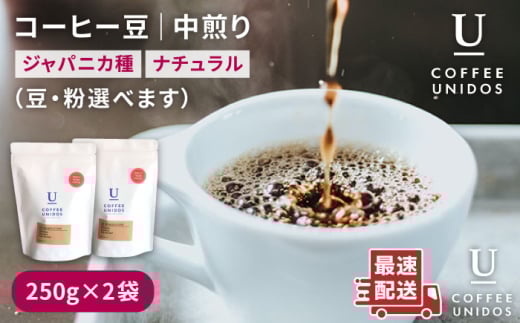 【粗挽き】中煎り コーヒー 豆 250g × 2袋 （ 豆 ・ 粉 選べます ） ニカラグア産 エルポルベニール農園 ジャバニカ種 ナチュラル 《糸島》 【COFFEE UNIDOS】 [AQF005-4]