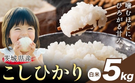 米 こしひかり 白米 茨城 ふるさと米 5kg《2月中旬-3月末頃出荷》 茨城県 結城市 米 国産 お米 おこめ お弁当 おにぎり