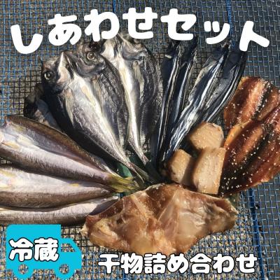 ふるさと納税 熊野市 ひもの詰め合わせ　しあわせセット