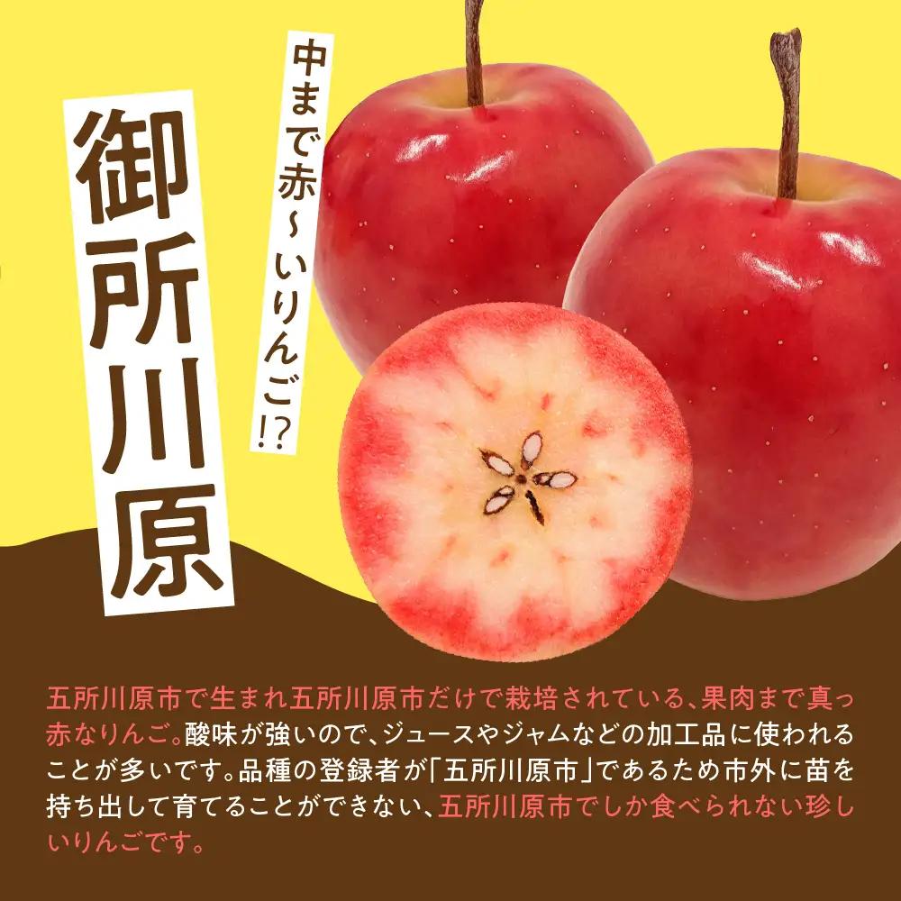 ジャム 中まで赤～いりんごのりんごジャム 100g×2瓶 