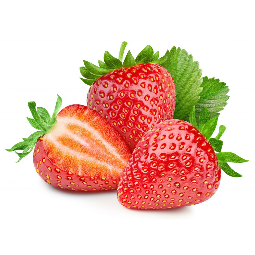 【ふるさと納税】こだわり栽培　いちご　ゆめのか　【2026年1月～2026年4月末までお届け】