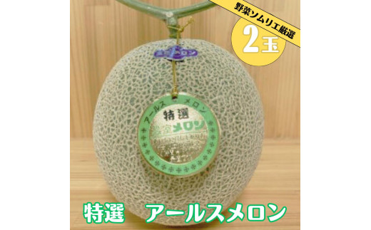 2027年先行予約 道の駅の野菜ソムリエ厳選 アールスメロン 2L× 2玉 箱詰め メロン フルーツ 果物 お取り寄せ 渥美半島 産地直送 田原市 送料無料　めっくんはうす