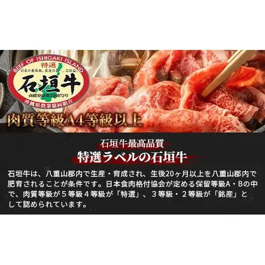石垣牛すきしゃぶ600g＋焼肉400gセット（いしなぎ屋）AB-8