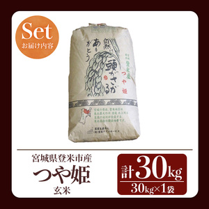 ＜先行予約！2025年10月以降順次発送予定＞≪令和7年産 新米≫ つや姫 玄米 30kg 登米市産 お米 おこめ 米 コメ ご飯 ごはん おにぎり お弁当 【登米ライスサービス株式会社】tm143