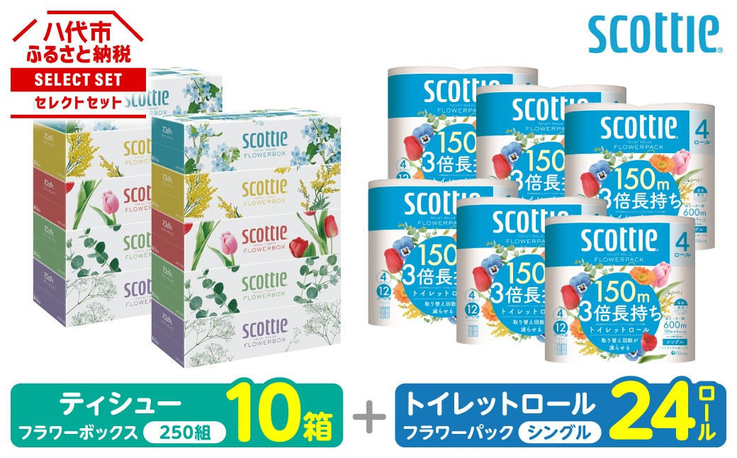 
                  【スコッティ】 組み合わせ ティシュー フラワーボックス 250組 10箱 トイレットロール シングル フラワーパック 3倍長持ち 24ロール ティッシュ トイレットペーパー 日用品 防災備蓄 ストック 備蓄 新生活 防災 消耗品 生活用品 日用消耗品 箱ティッシュ
                