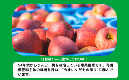 りんご サンふじ 家庭用 5kg 松橋りんご園 沖縄県への配送不可 2026年12月上旬頃から2027年3月上旬頃まで順次発送予定 令和8年度収穫分 フルーツ リンゴ 信州 長野県 飯綱町 [0829