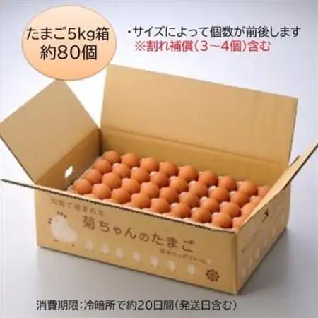 菊ちゃんのたまご5kg箱【配送不可地域：離島】【1185768】