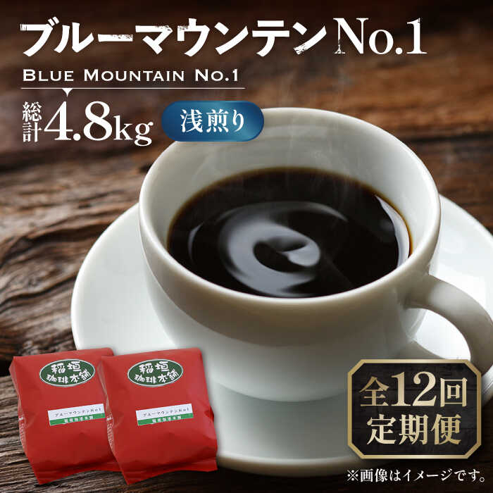 【ふるさと納税】【全12回定期便】ブルーマウンテン NO.1 コーヒー ( 浅煎り ) 《豊前市》【稲垣珈琲】 珈琲 コーヒー 豆 粉[VAS151] 472000 472000円