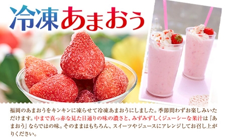 【2026年度出荷】福岡県産 冷凍あまおう1kg(500g×2袋) 南国フルーツ株式会社《12月中旬-3月末頃出荷(土日祝除く)》福岡県 小竹町 あまおう いちご イチゴ 送料無料【配送不可地域あり】