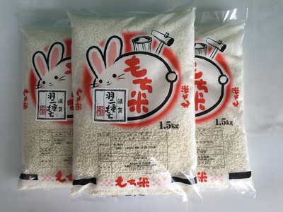 令和7年産 滋賀 羽二重 もち米 4.5kg ( 1.5kg × 3袋 ) 【T036W1】