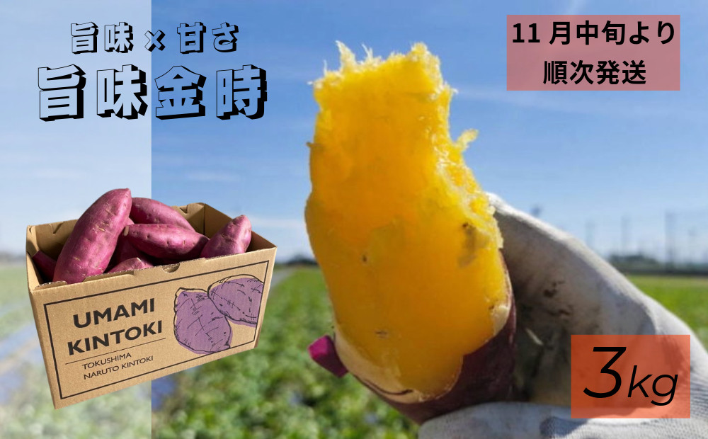 
            鳴門市大津産　旨味金時 3kg
          