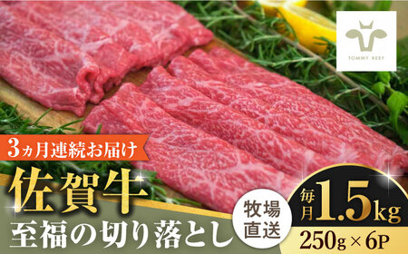 【家計お助け返礼品】【牧場直送】【全3回定期便】佐賀牛至福の切り落とし 計4.5kg（250g×6袋×3回）/ 佐賀県 / 有限会社佐賀セントラル牧場 [41ASAA026]