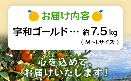 ＜宇和ゴールド 約7.5kg＞ 果物 フルーツ みかん ミカン 蜜柑 オレンジ 柑橘 河内晩柑 かわちばんかん うわごーるど ウワゴールド 愛南ゴールド 美生柑 食べて応援 特産品 JA えひめ南農業