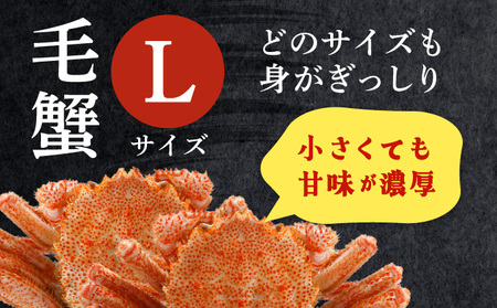 毛ガニ（姿身）Lサイズ 1尾　ogm-017