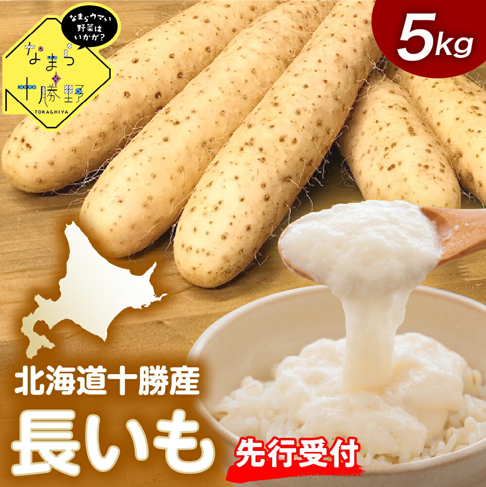 【ふるさと納税】【 先行予約 】【12月中旬以降発送】 なまら十勝野の 長いも 5kg ふわとろ焼きレシピ付 北海道 十勝 芽室町